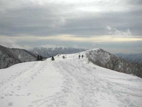 ��̐����